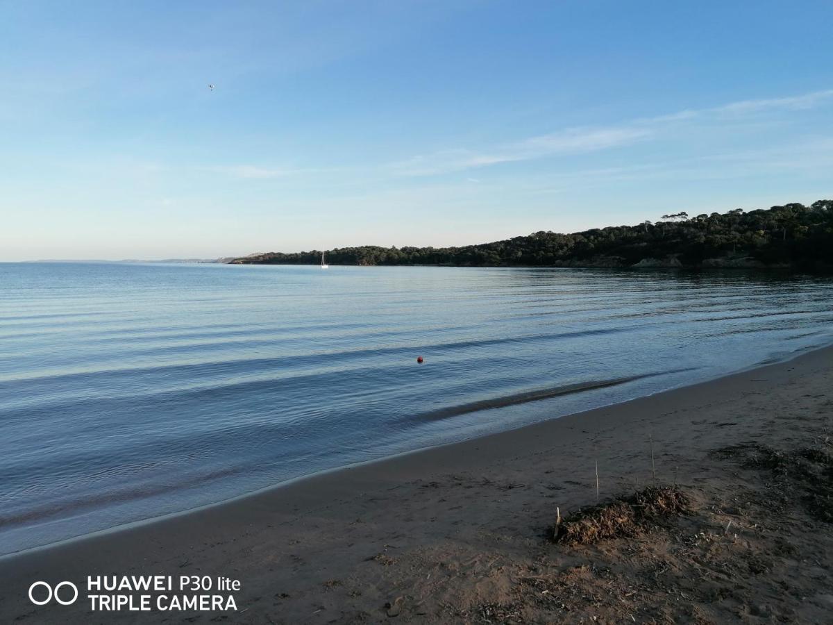 Beautiful Renovated Studio With View- Old Hyères Exteriér fotografie